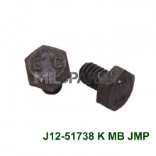 Wheel cylinder bolt set